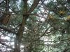Дружественная беседа, помощь, профессиональный и жизненный опыт
