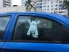 Кот Саймона в машину на присосках