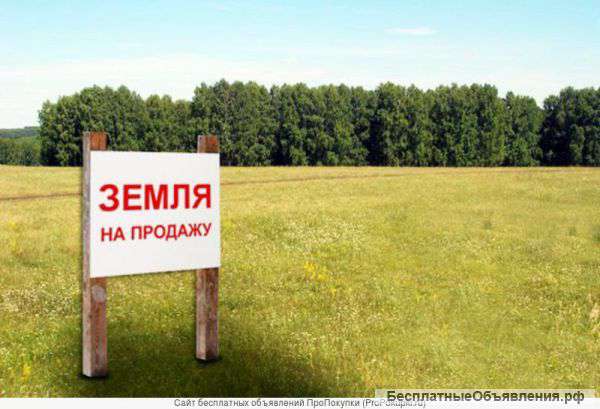 Земля в п.Дружелюбном