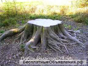 Корчевание пней с вывозом