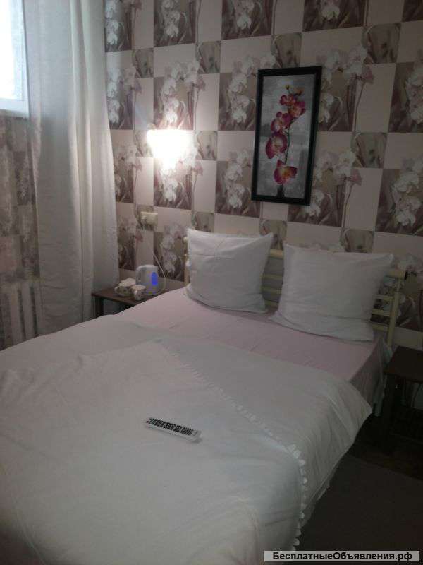 Сдаются пони-номера