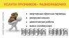 Предоставим опытных грузчиков-такелажников