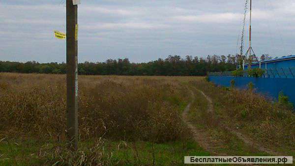 Участок 3 га (СНТ, ДНП)