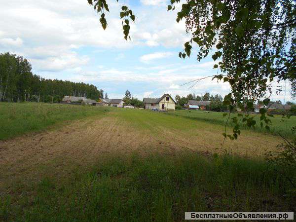 Земельный участок