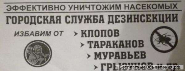 Городская Служба Дезинсекции
