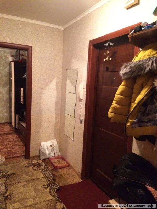 Цесиса