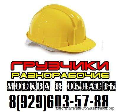 Предоставим рабочию силу