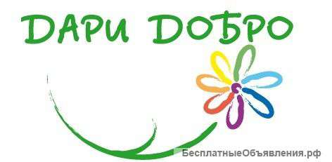 Волонтер-промоутер (сбор пожертвований)