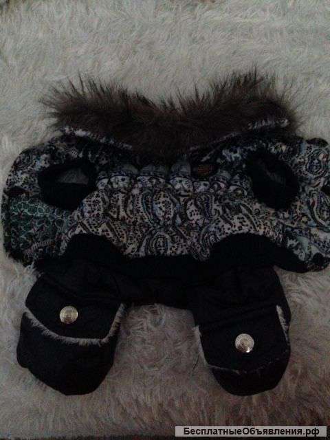 Зимний костюм на мини йорка