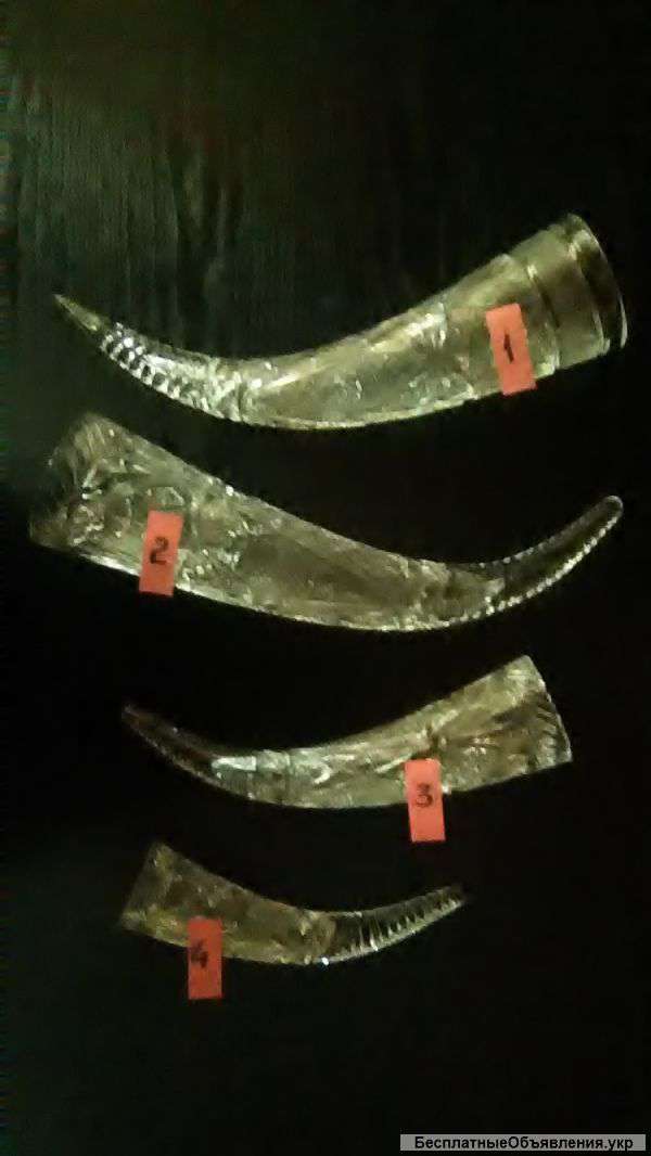 "Рог изобилия"