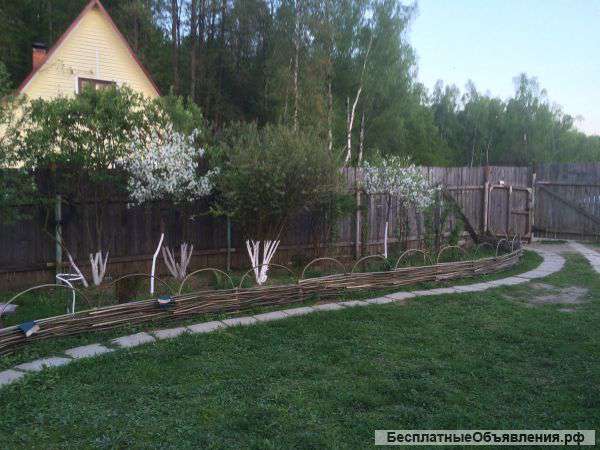 Калужская область