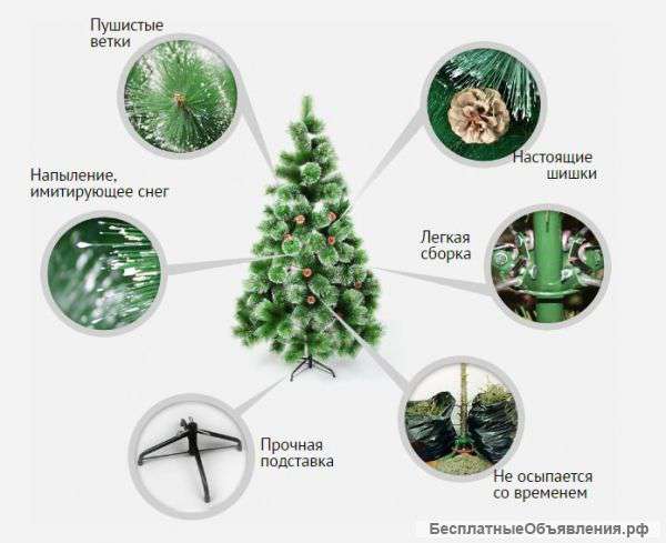Елки доставка БЕПЛАТНО Кимры Дубна Талдом Тверь + ПОДАРОК