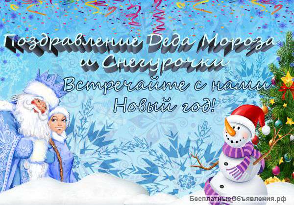 Дед Мороз и Снегурочка на дом