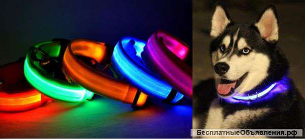 Светодиодный ошейник
