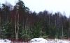 Участок 6 соток,Вблизи Тосово (12 км).Ижс Собственник