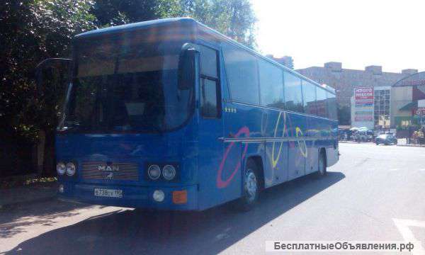 Автобусы