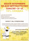 Вызов ветеринара на дом