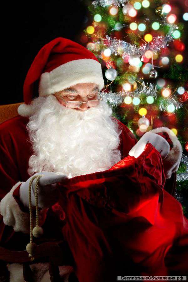 Дед Мороз и Снегурочка и любимый герой на дом