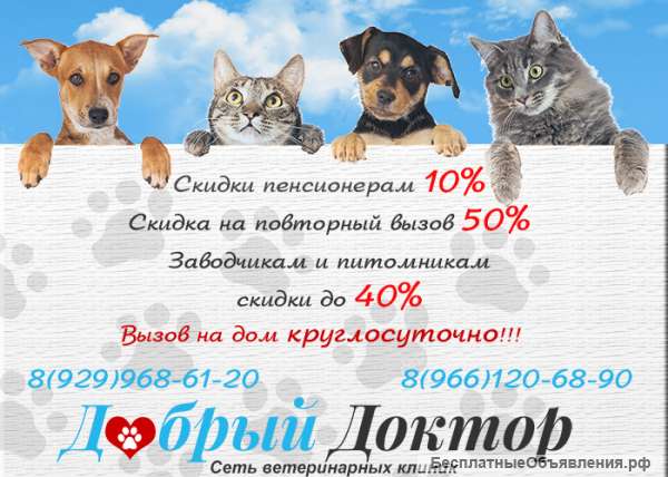 Сеть ветеринарных клиник Добрый Доктор 24 часа