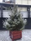 Новогодняя ель под ключ