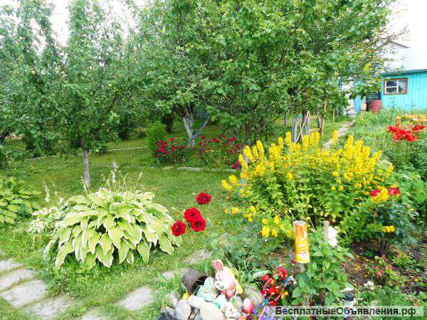 Участок 6,5 соток