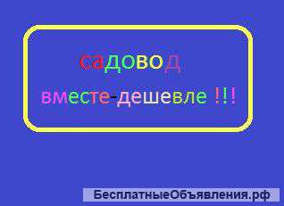 Одежда