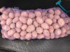 Картофель Ред Скарлет