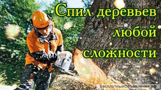 Спил деревьев в Белгороде