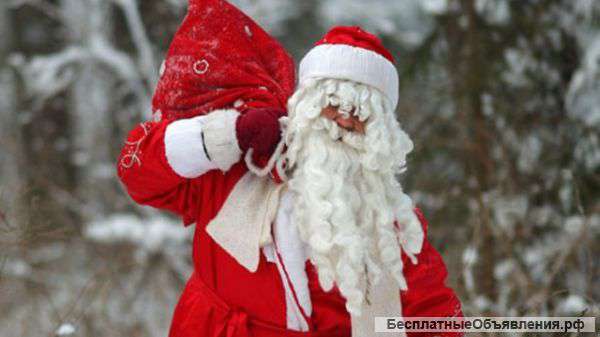 Дед мороз на дом,офис,дет. сад,школы