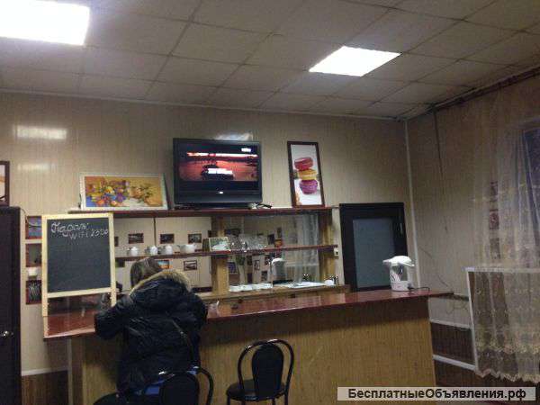 Сдаю в аренду