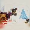 Щенки Американского Тойфокстерьера