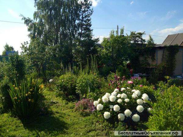 Участок 6 соток
