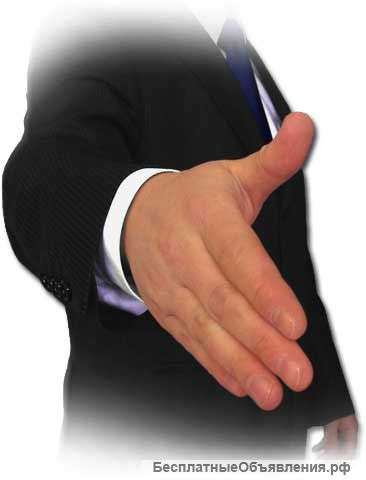 Партнер в действующий бизнес