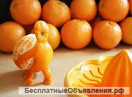 Мандарин от производителя, Турция