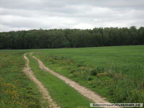 Земельный участок- 30т