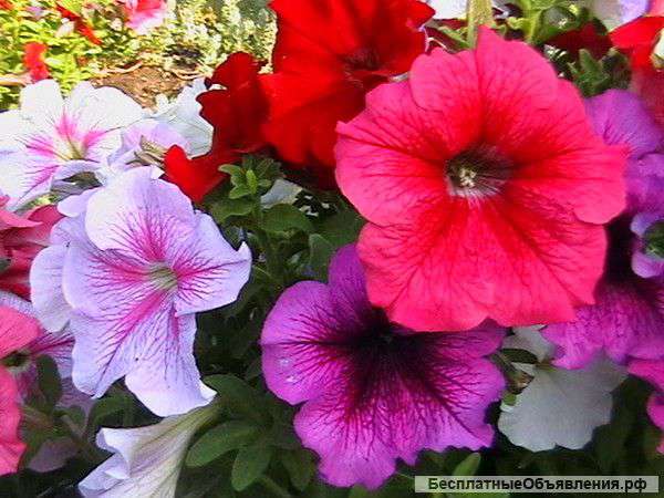 Продаю 2х комнатную квартиру в центре Черемушек