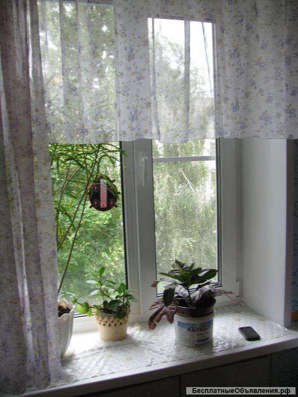 2-к квартира, 51.6 м², 4/5 эт.