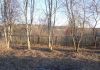 Участок 11 соток 69 км. от МКАД, Лениградского направления.