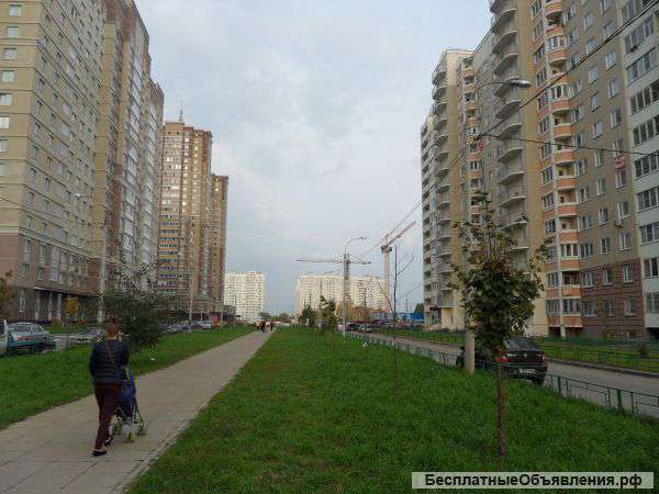 Мкр Кузнечики без мебели