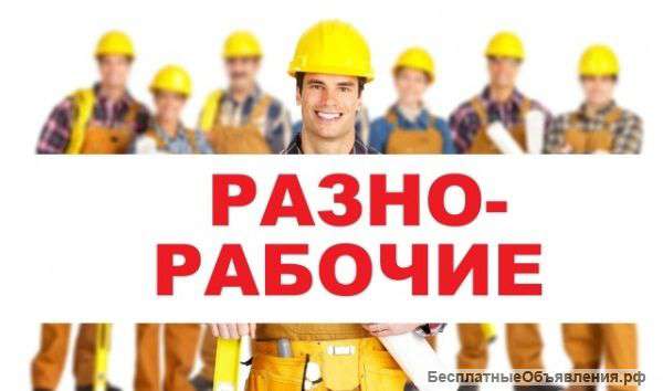 Грузчики, разнорабочие