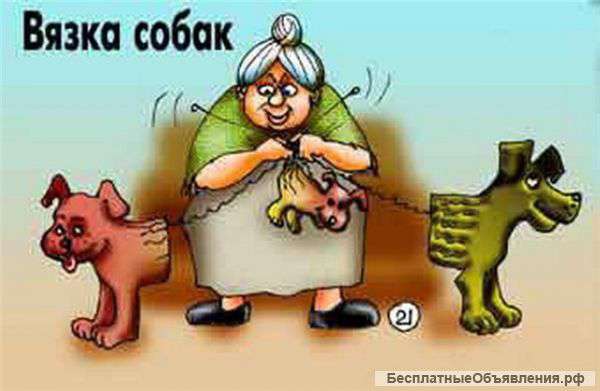 Профессиональный инструктор по вязке собак
