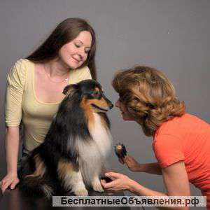 Cеминар из цикла "Психология собаки"