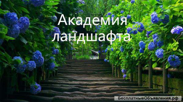 Ландшафтный дизайн. Устройство:цветников,дорожек,газонов.