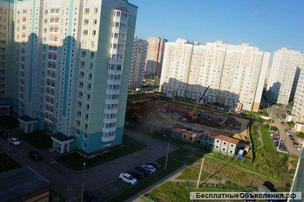 Строительство и ремонт