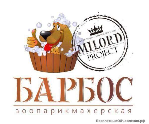 Стрижка собак и кошек всех пород