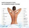 Массаж лечебный новогодние скидки
