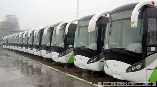 Заказ автобусов и микроавтобусов от 8 до 60 мест