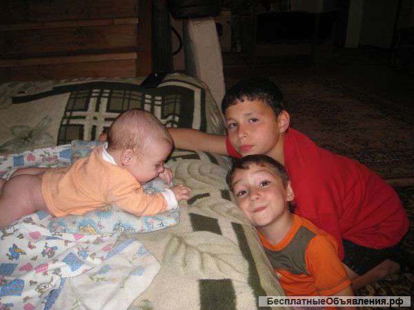 Многодетная семья нуждается