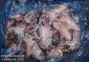 Головы лосося (семги)