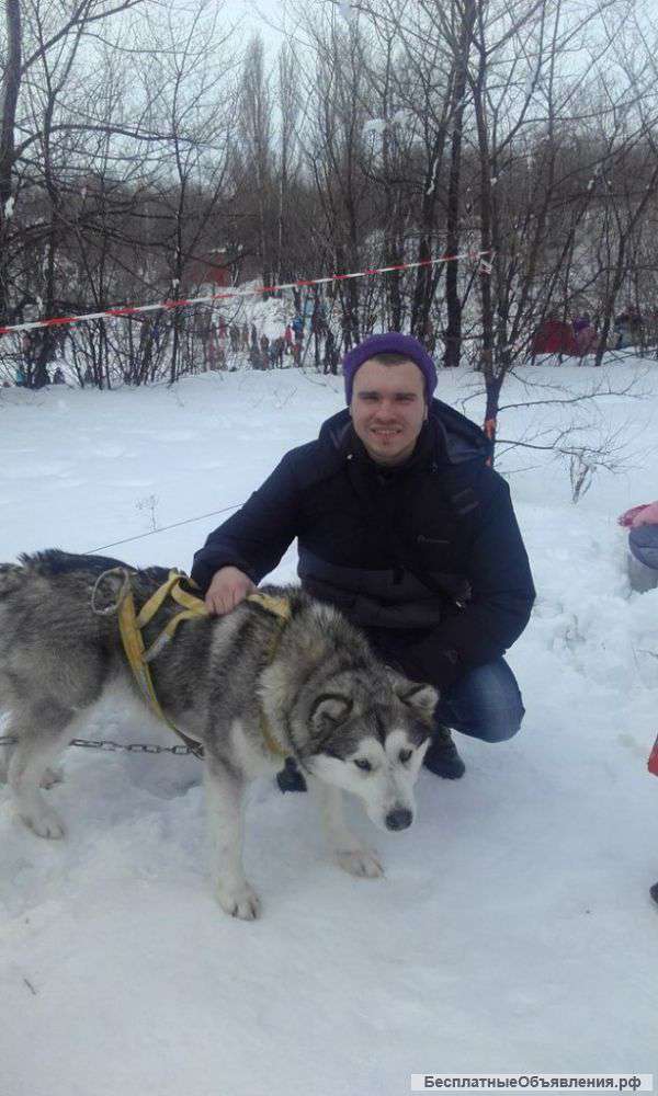 Грузчик